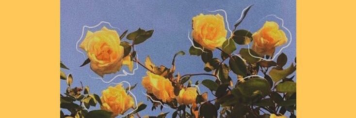 natcabrera97's profile banner image