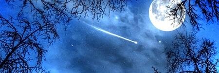 starryecogirl banner