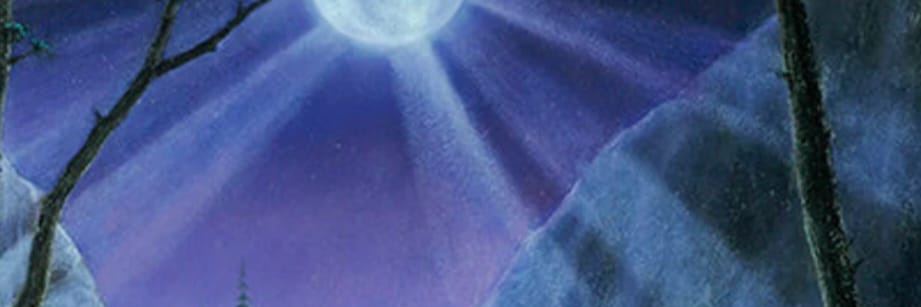 en3her1's profile banner image