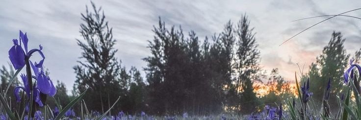ManiacCuan's profile banner image