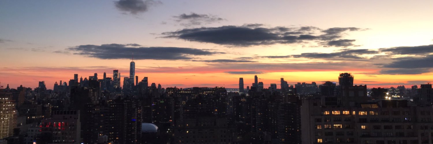 Ellen Meeringa banner