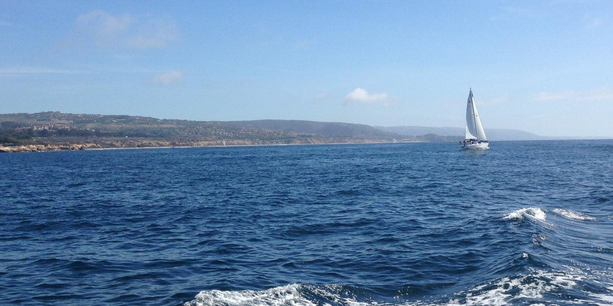 Lee Ann Jackson banner