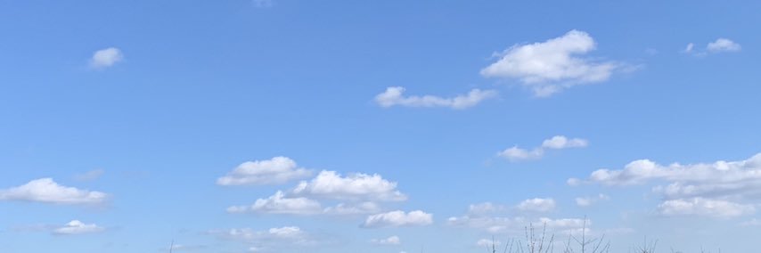 JK not Rowling banner