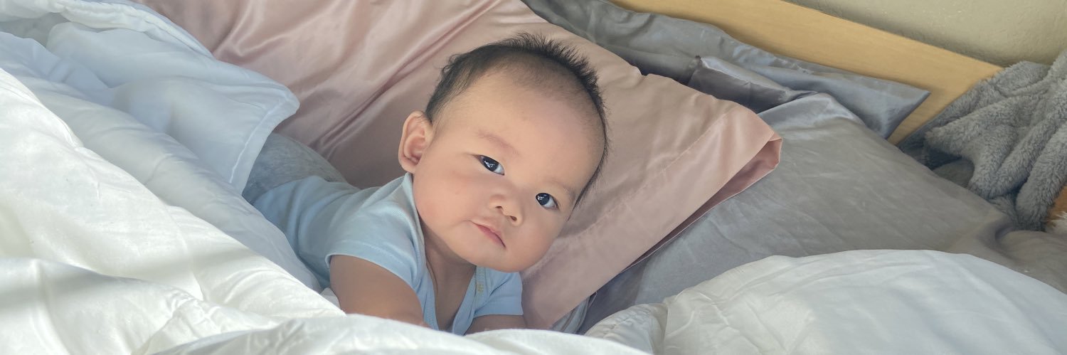 princessltnn's profile banner image
