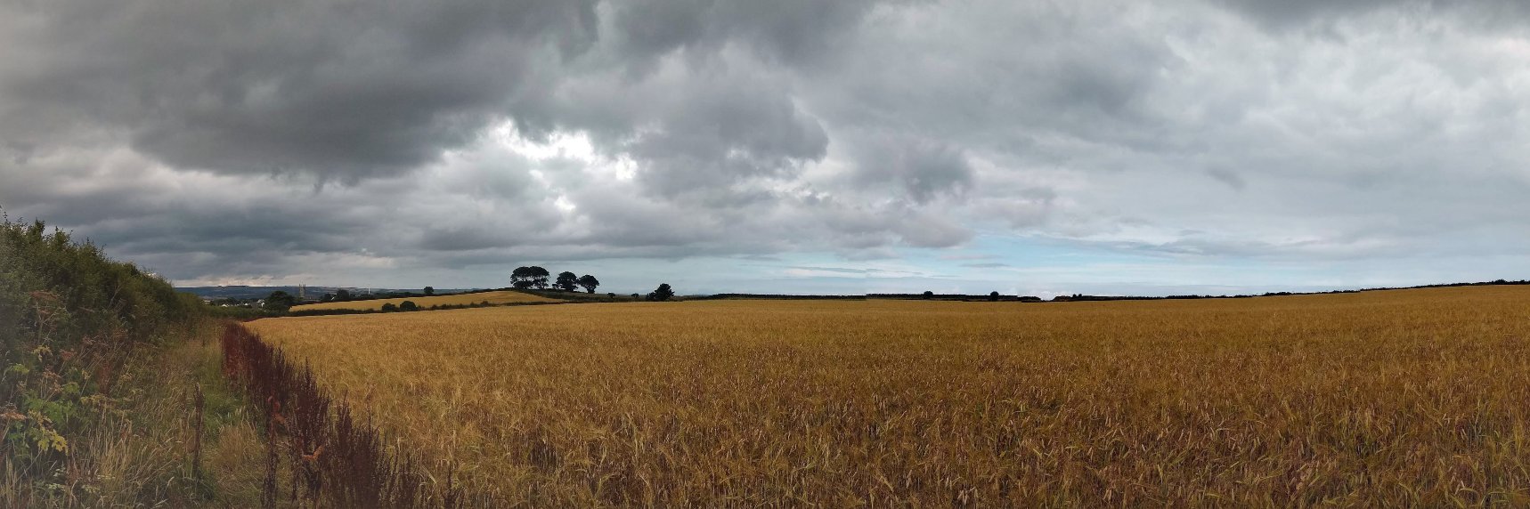 MarkGrld 〓〓 banner