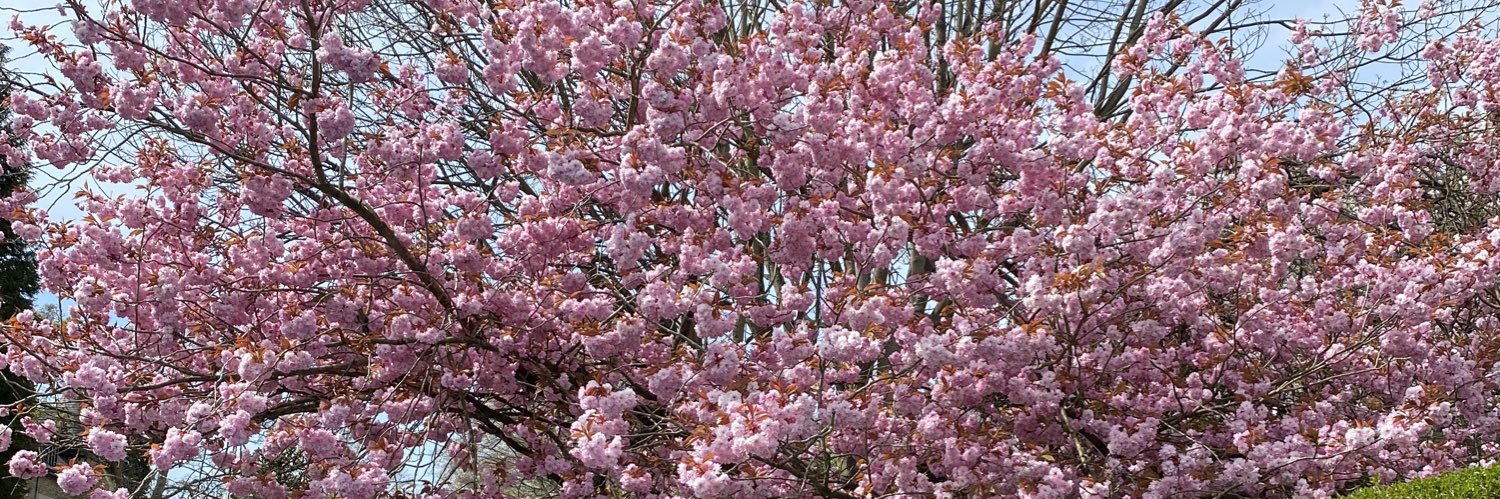 💚🌱💚XEROUZA💚🌱💚🌏 Ⓥ banner