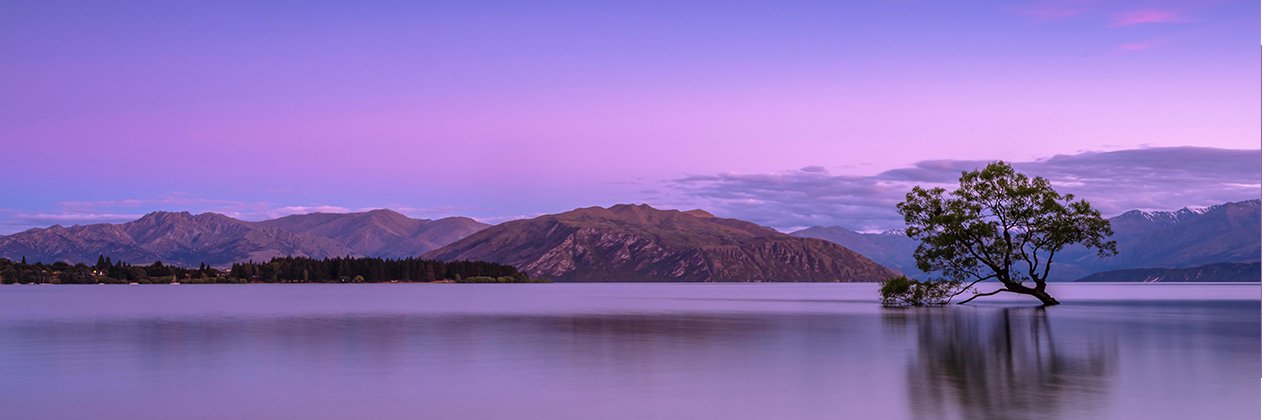 Zen Fresh Records banner