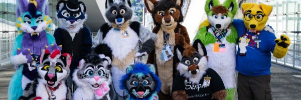 ForesterFoxx Profile Banner