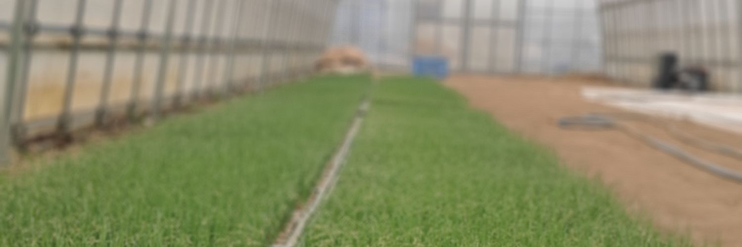 architect_3's profile banner image