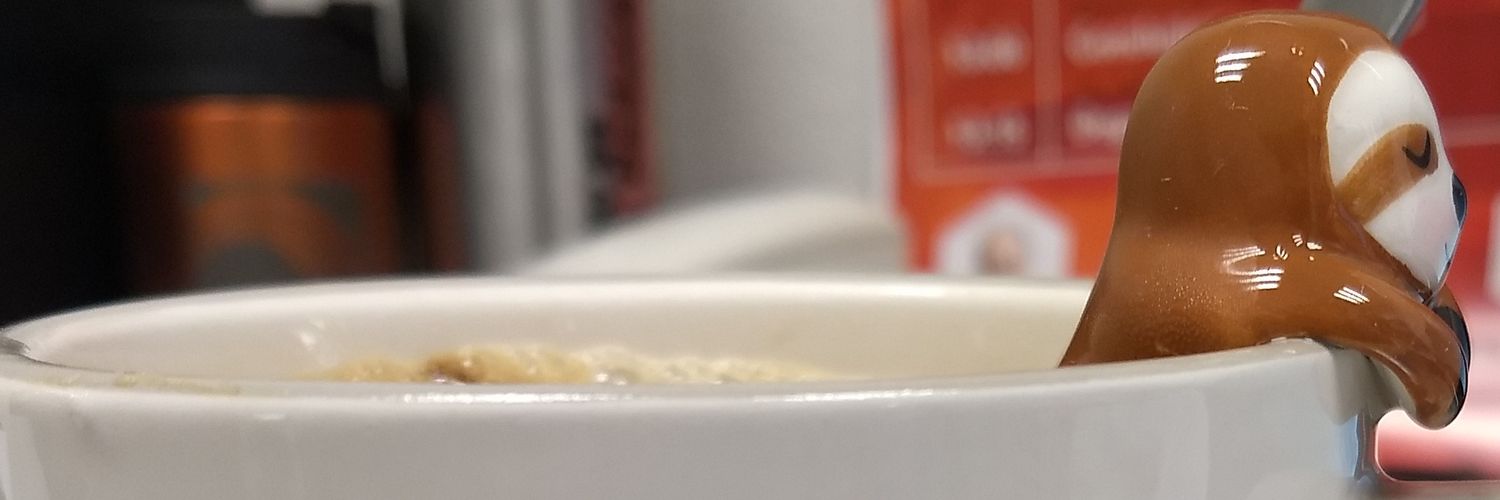 AlyRol's profile banner image