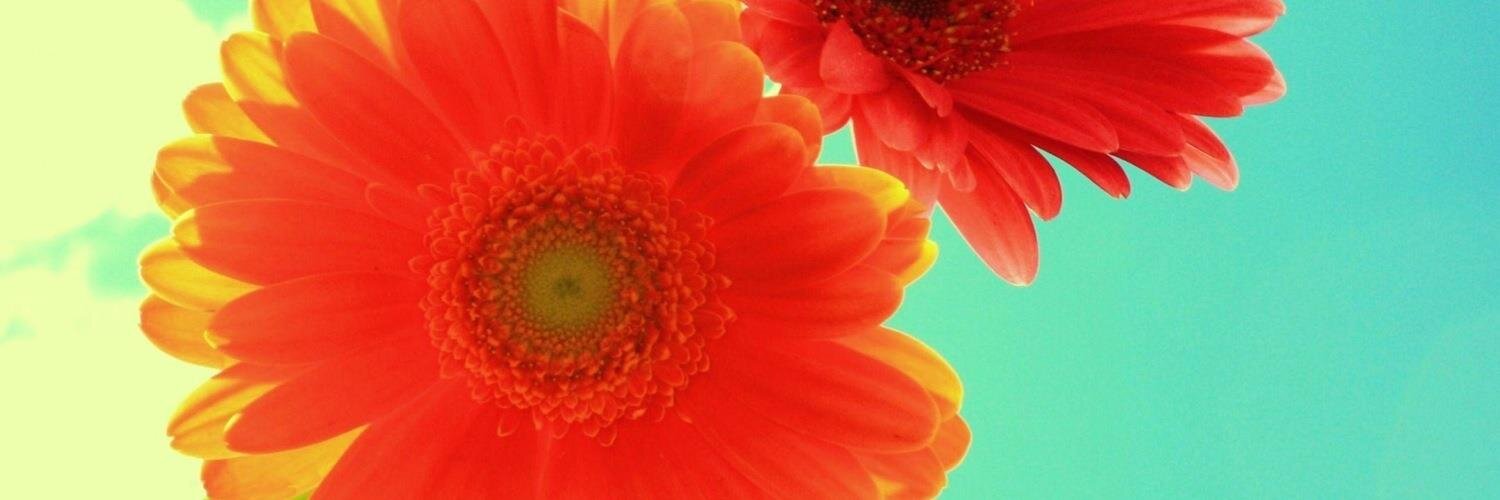 ktrg_xx's profile banner image