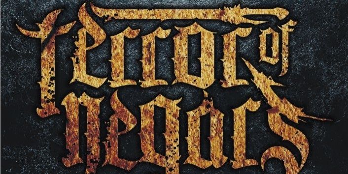 Terror Of Negars banner