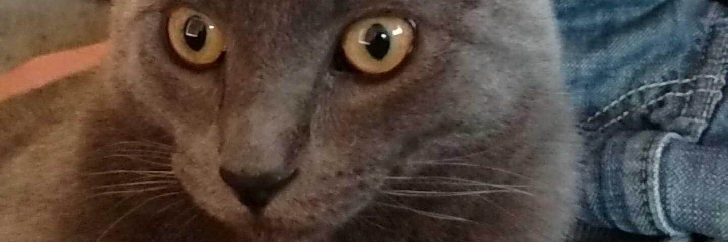 Bjeezy10's profile banner image