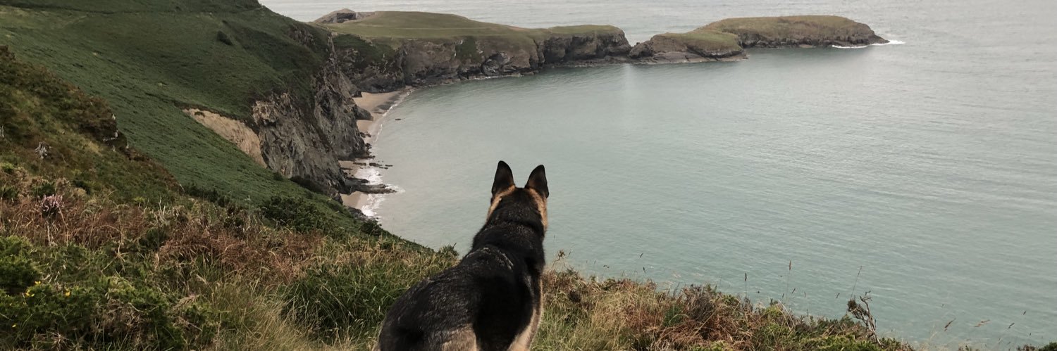 Robin Christopherson banner