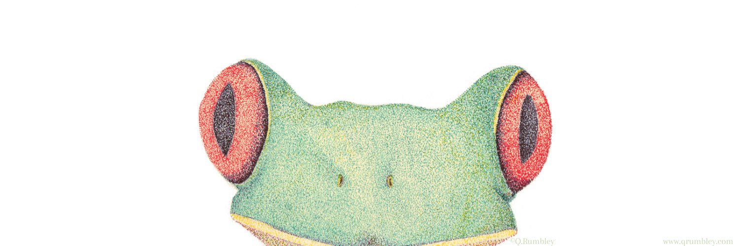 FanaticalFrog's profile banner image