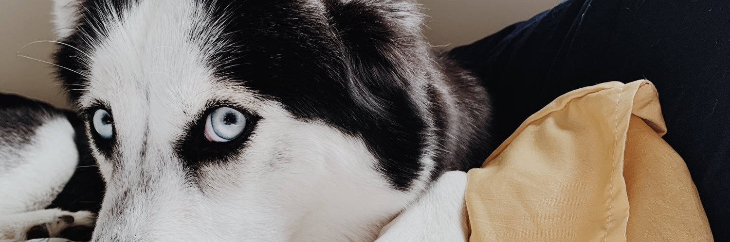 kellijo50's profile banner image