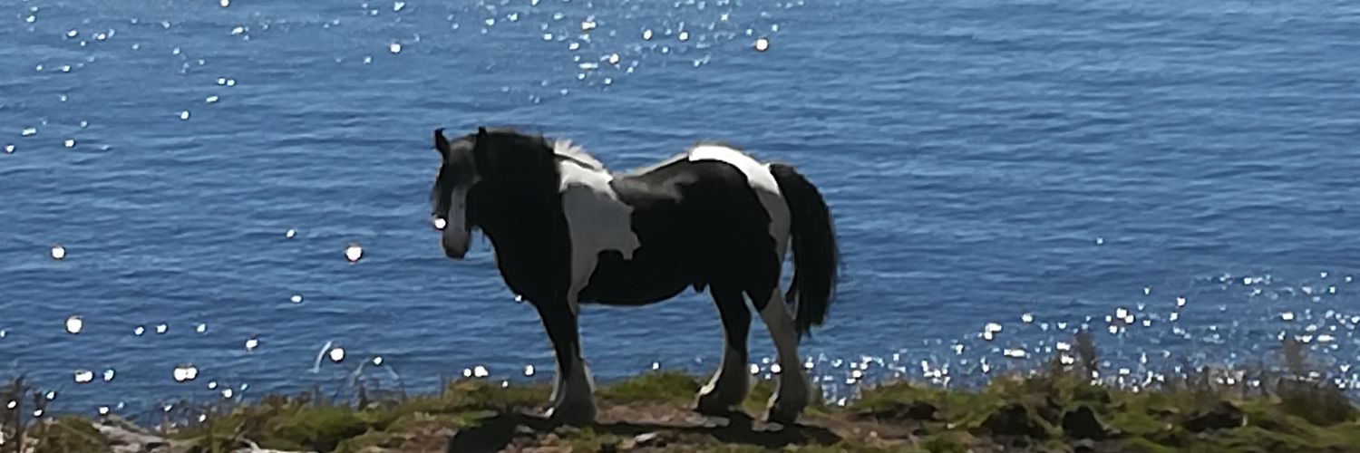 SimonBorderLion's profile banner image