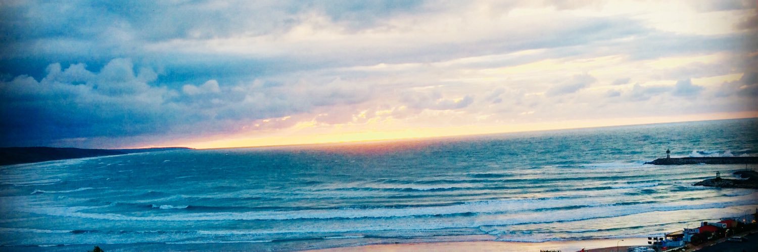 msayhann's profile banner image