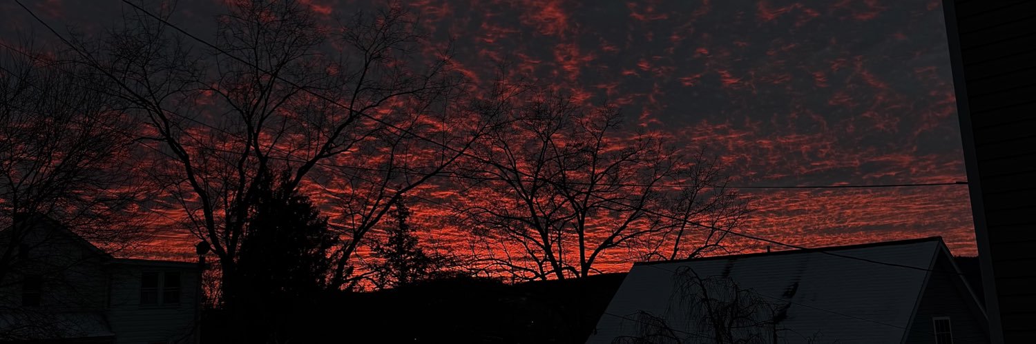 wyldelevi's profile banner image