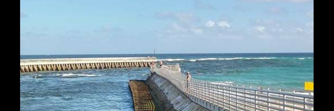 Beachhunter561's profile banner image