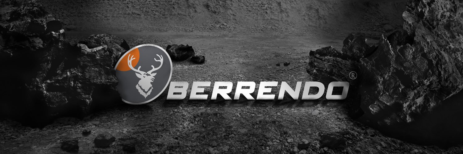 BERRENDOTEAM's profile banner image