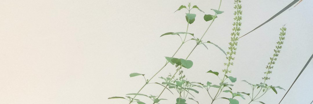 Dr Vimple Bhalani banner
