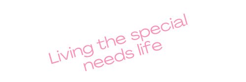 special_life_nl's profile banner image