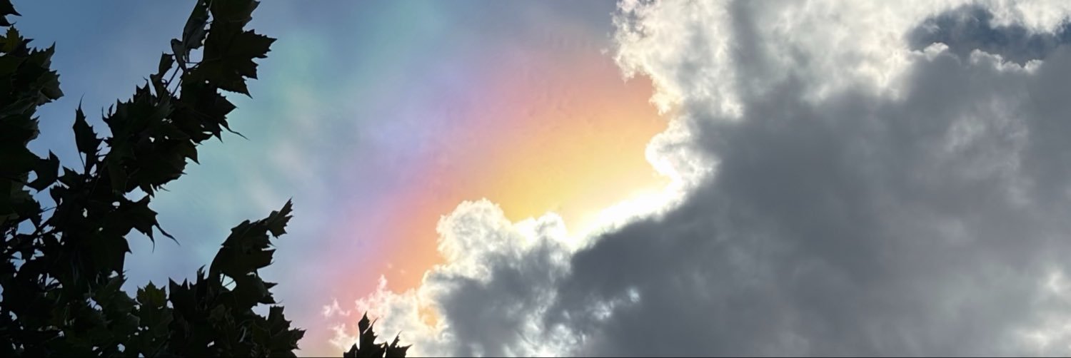 fediisch's profile banner image