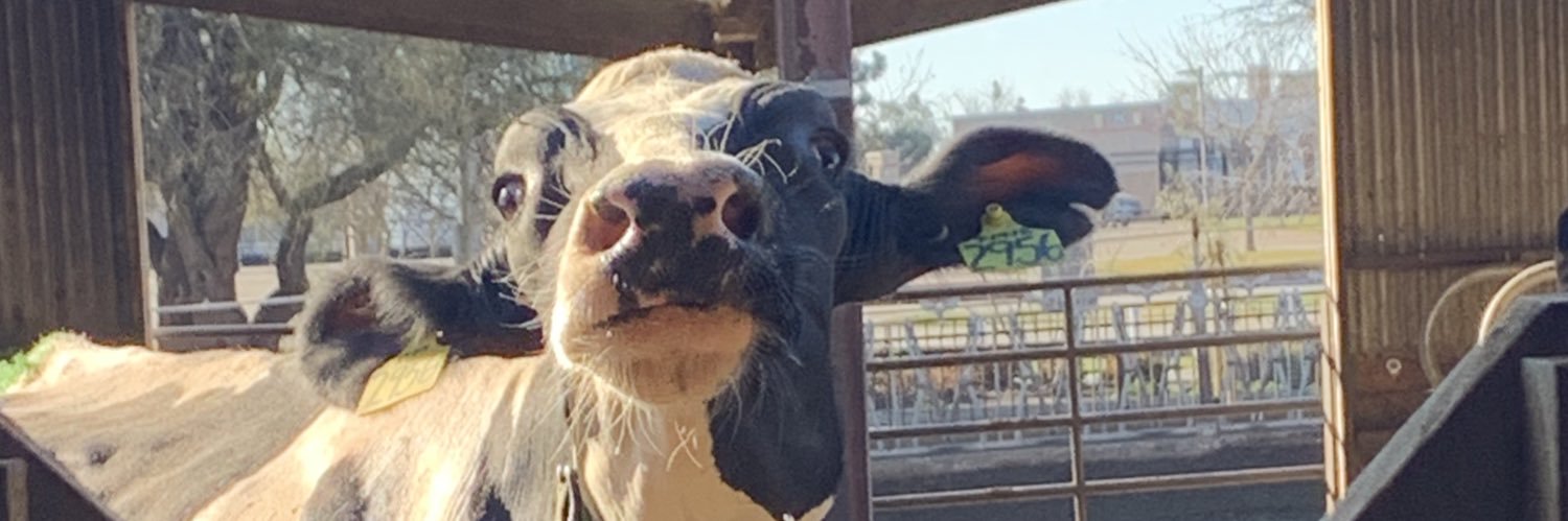 Emily C. Dooley banner