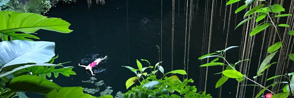 Lauraveronicaes's profile banner image