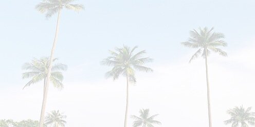 lovleyboca's profile banner image