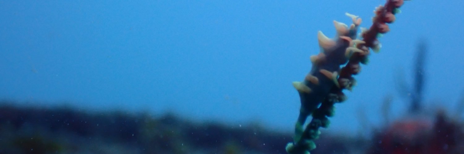 yso_13's profile banner image