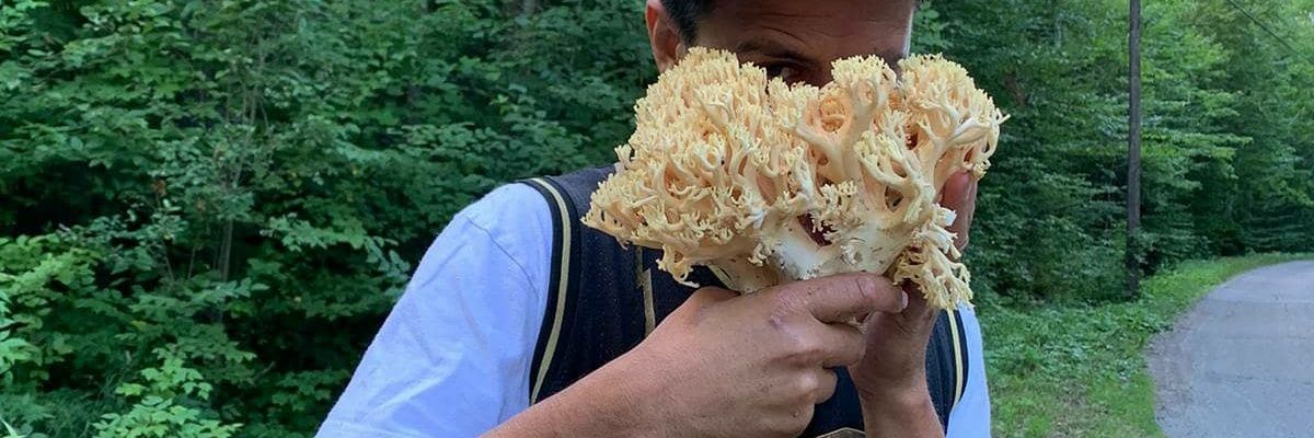 djlinterna's profile banner image