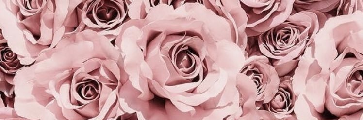 ceciaccoroni's profile banner image