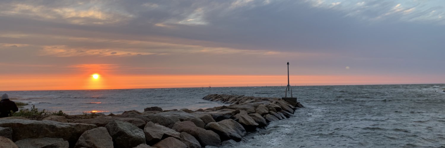 Barb Kowal banner