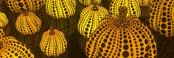 LesleyER Profile Banner