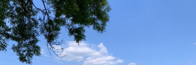 Claire Evanson banner