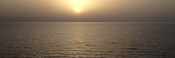 SYanc Profile Banner