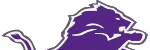 hsdlionsfball's profile banner image