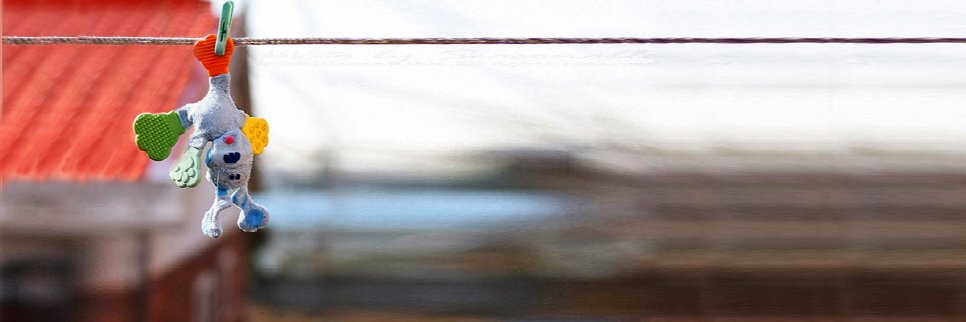 withanimallove's profile banner image