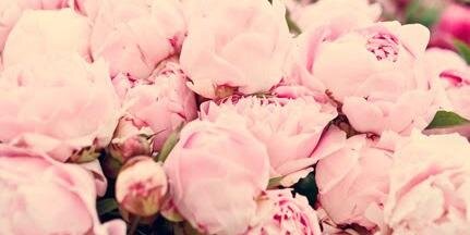 BestFoodRetweet's profile banner image