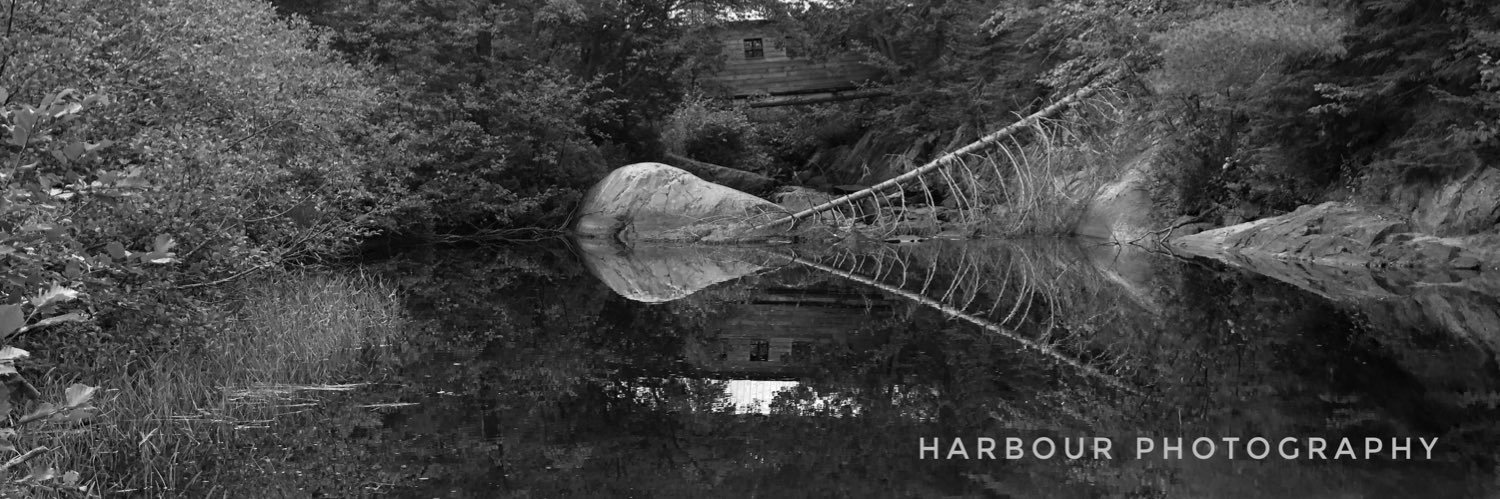 Bob Harbour banner