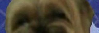 laitisjonne's profile banner image