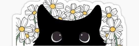 Micaandreo's profile banner image