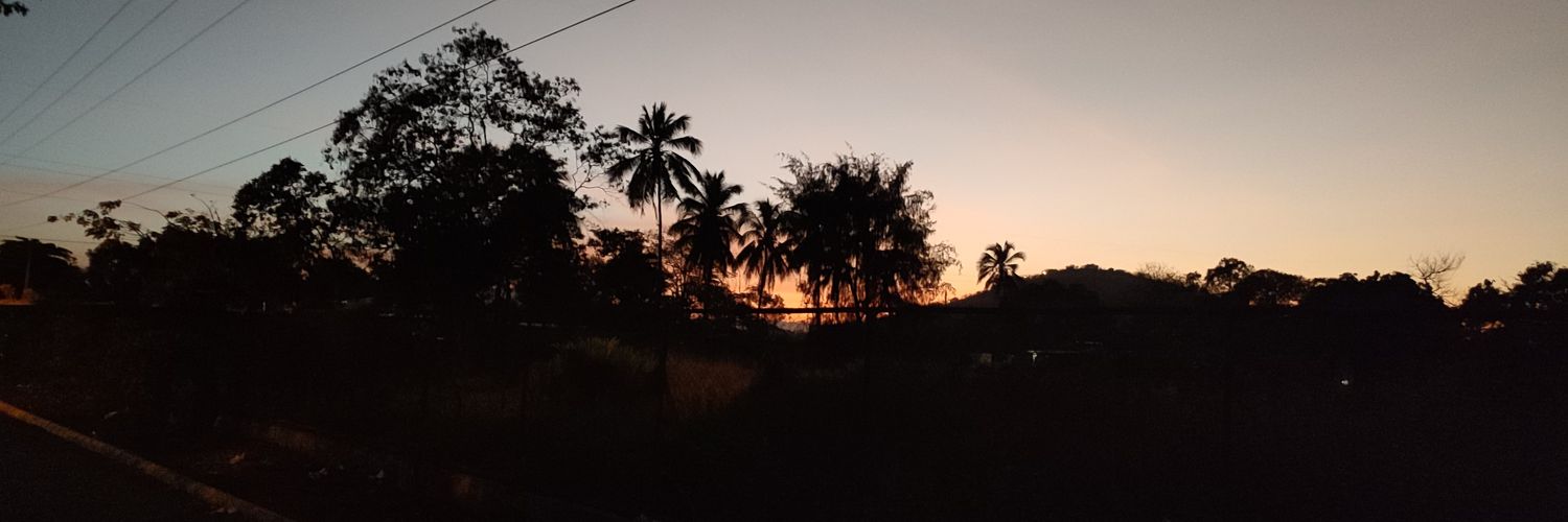 blueruiz's profile banner image