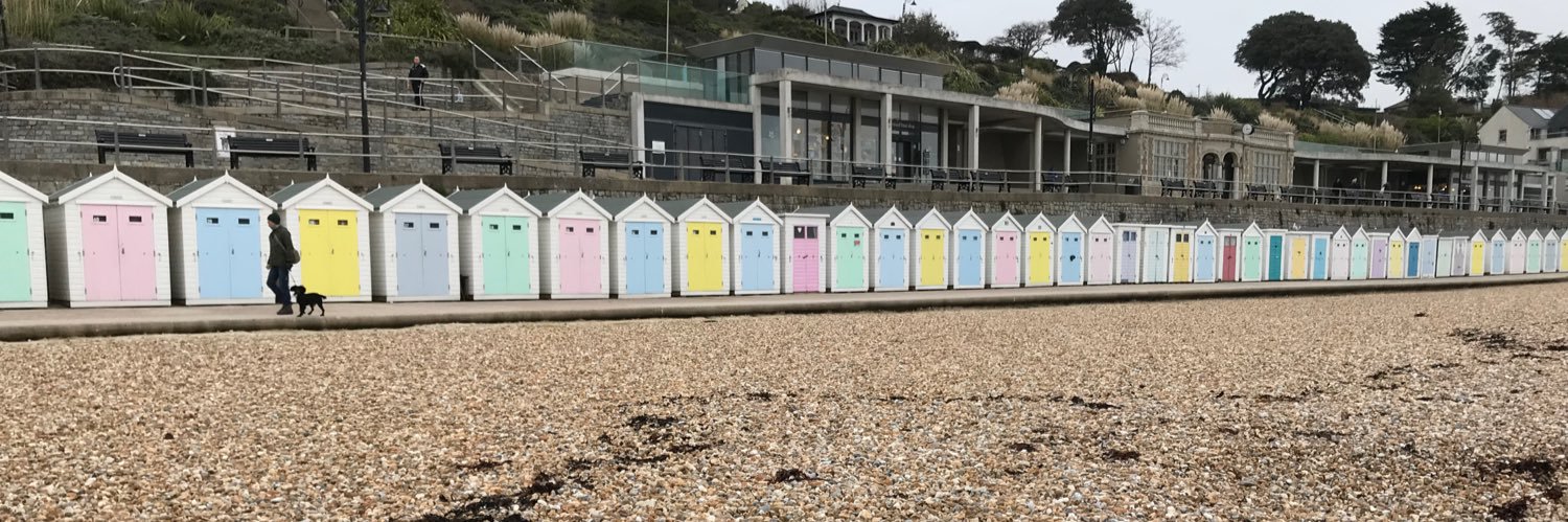 🇪🇺🌹👩🏽‍⚕️ banner