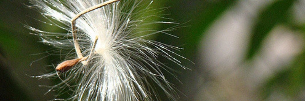 grand_pappa's profile banner image