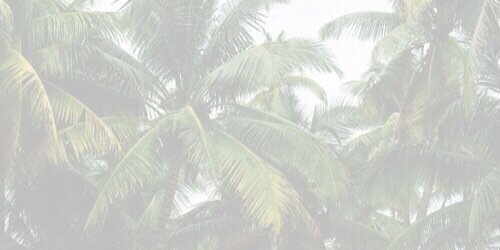 islapheauxs's profile banner image