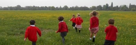 PrimaryHoughton's profile banner image