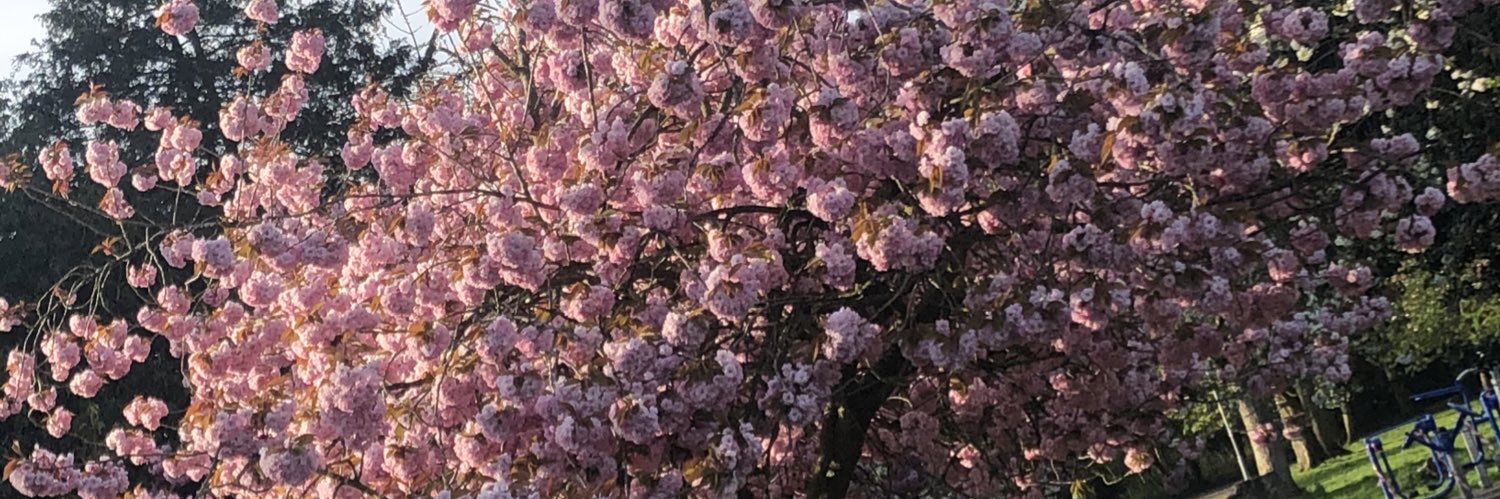 megharrop_'s profile banner image